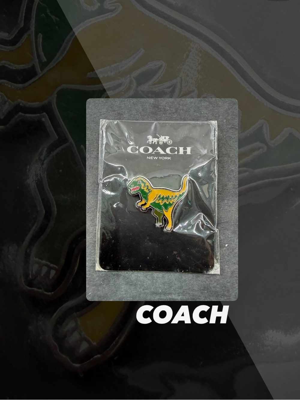 NIP Coach Rexy Pin